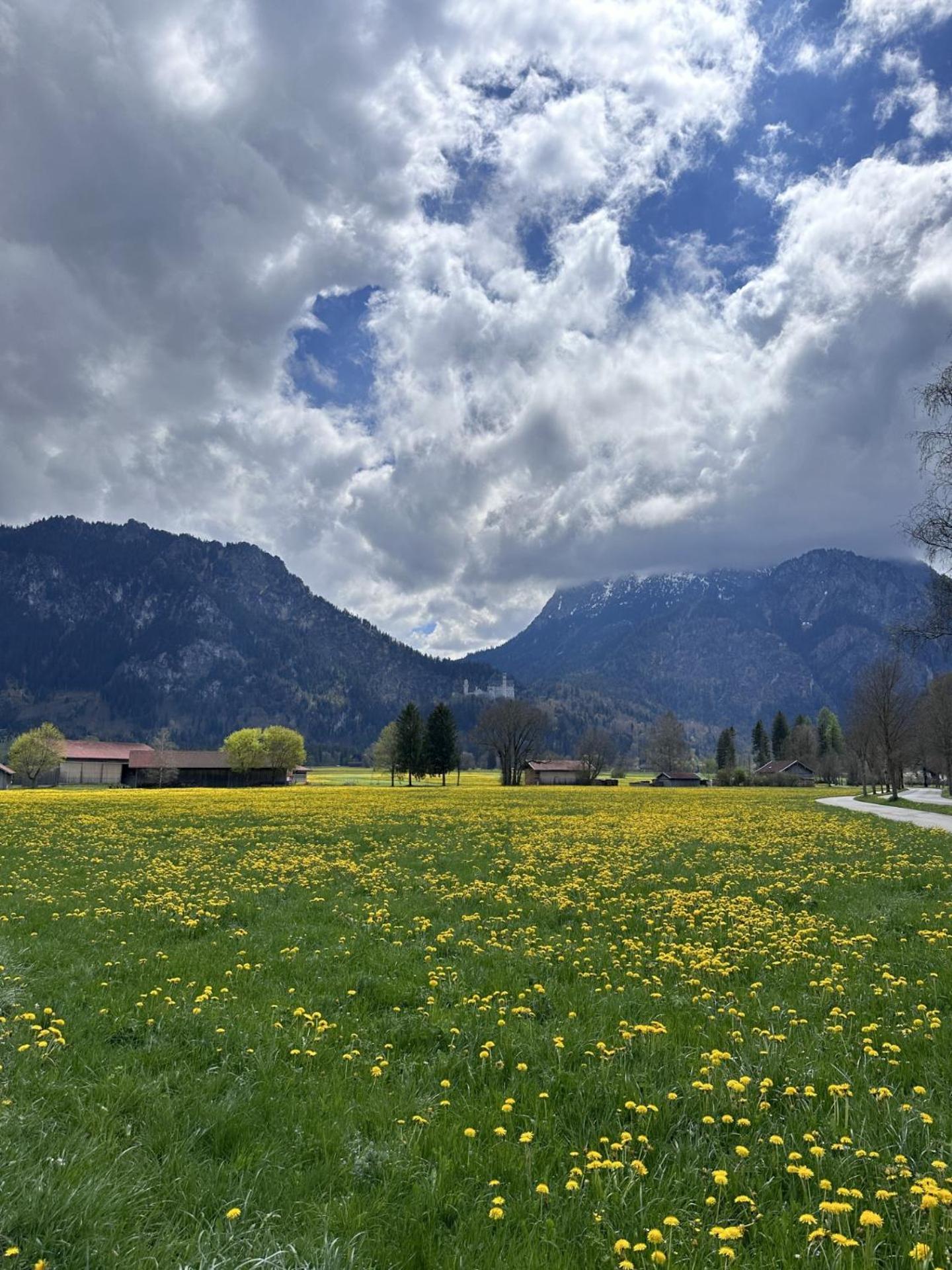 Gaestehaus Apollo Lägenhet Schwangau Exteriör bild